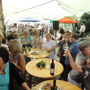 Pfarrfest 2014