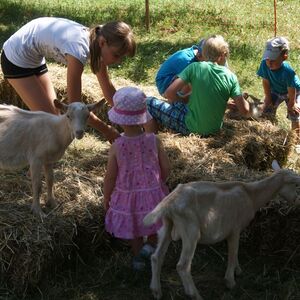Pfarrfest 2013